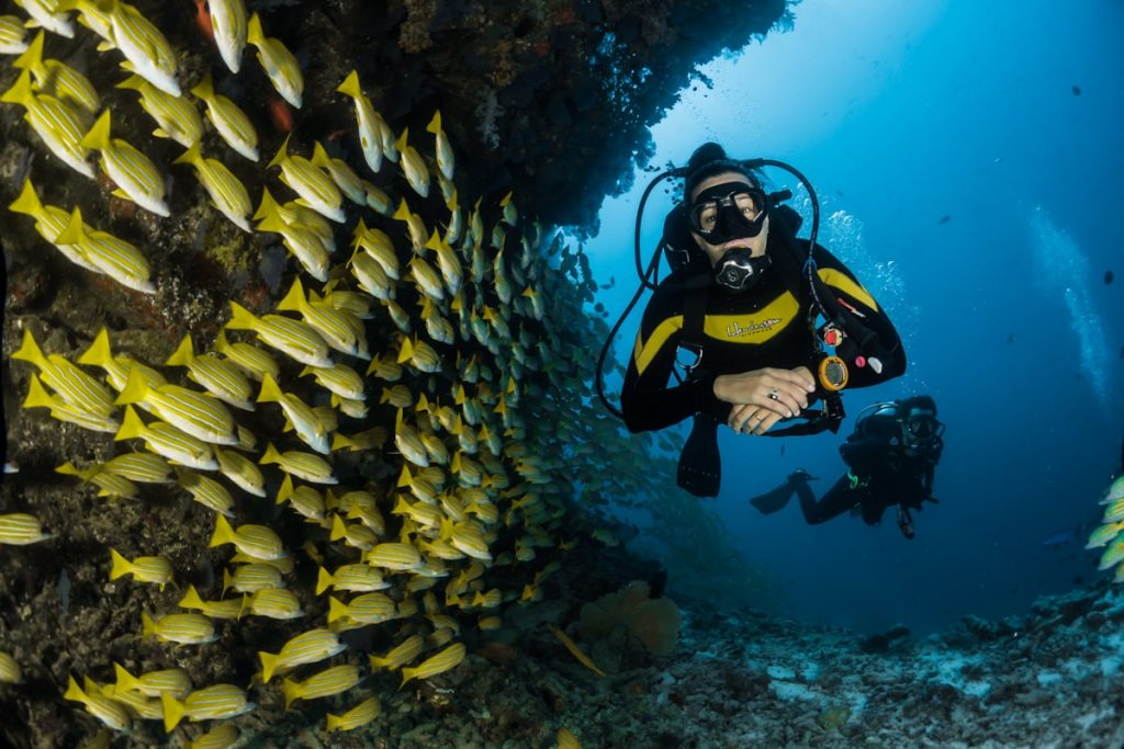 Snorkel en Cancún: Los Mejores Spots para Descubrir el Arrecife